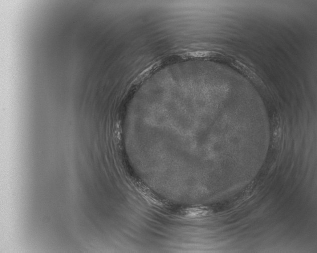 X0000080150555200612302130