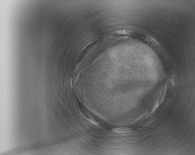 X0000080150556200612302130