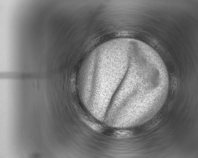 X0000080150557200612302130