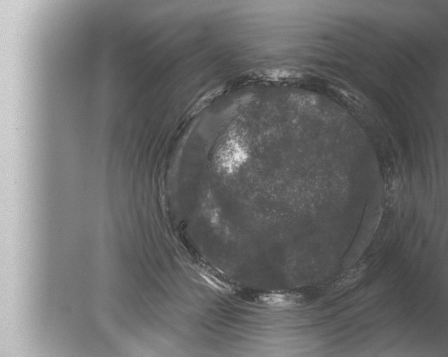 X0000080150558200612302130