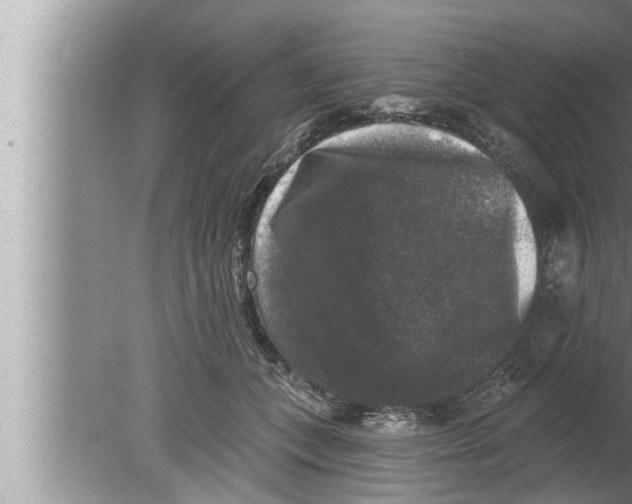 X0000080150559200612302130