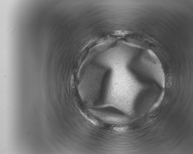 X0000080150560200612302130