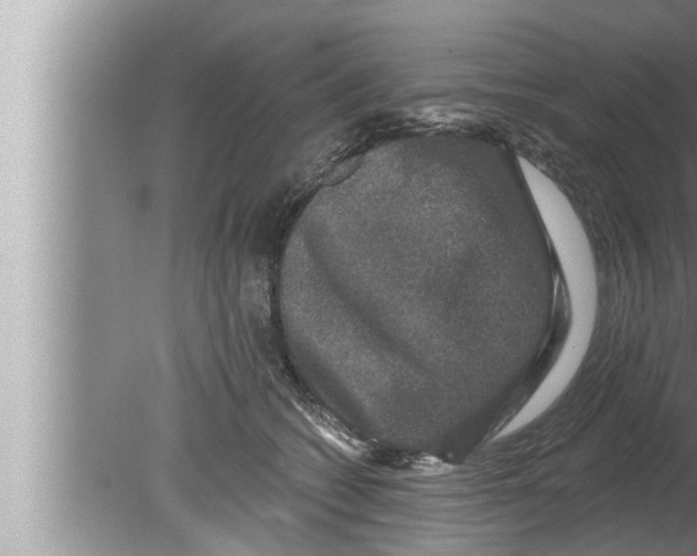 X0000080150562200612302130