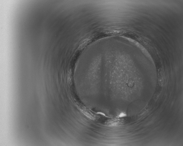 X0000080150563200612302130