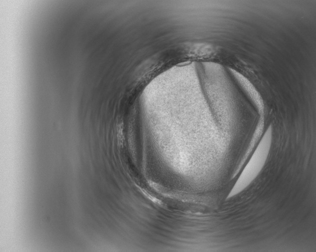 X0000080150564200612302130