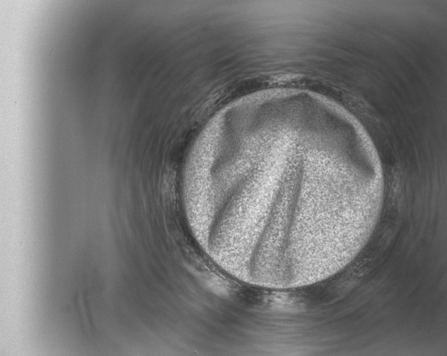 X0000080150565200612302130