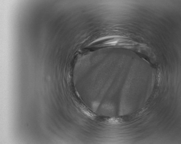 X0000080150566200612302130