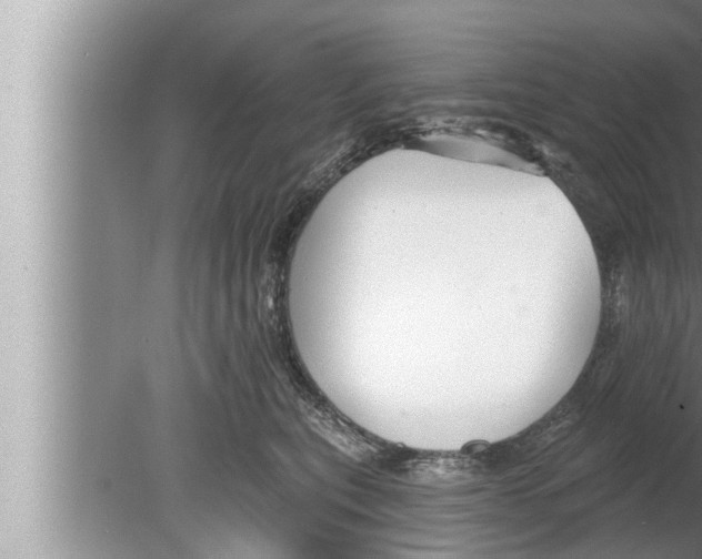 X0000080150567200612302131