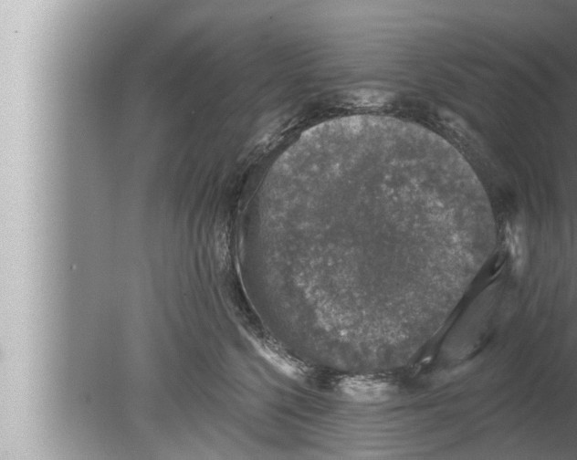 X0000080150568200612302131