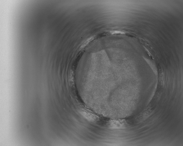 X0000080150571200612302131