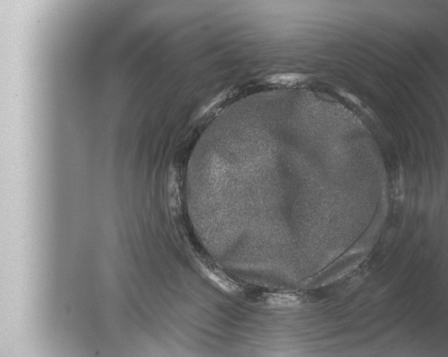 X0000080150572200612302131