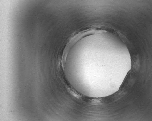 X0000080150574200612302131