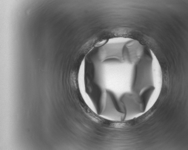 X0000080150575200612302131