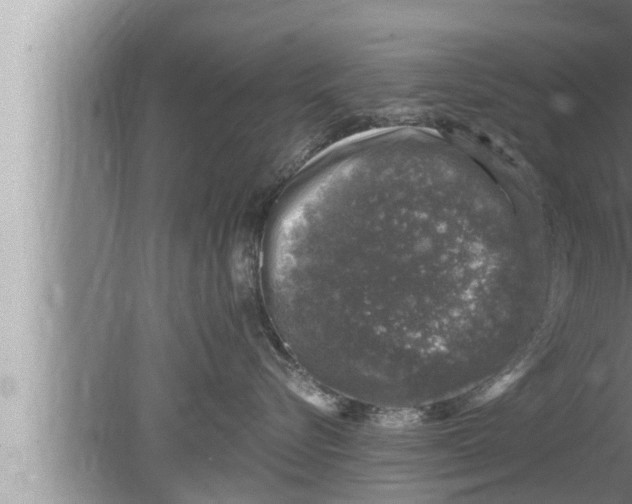 X0000080150576200612302131