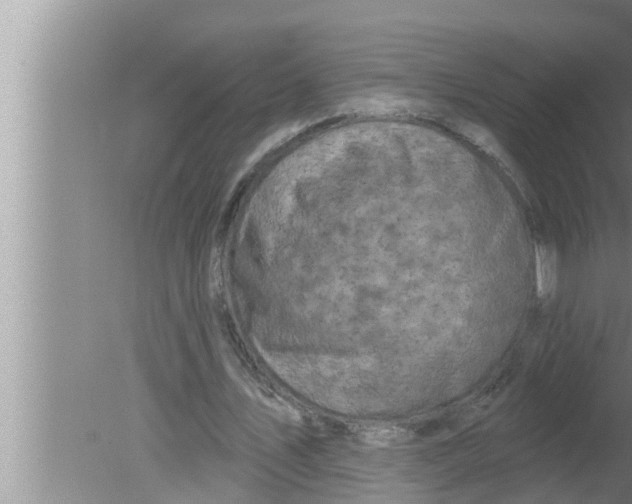 X0000080150579200612302130