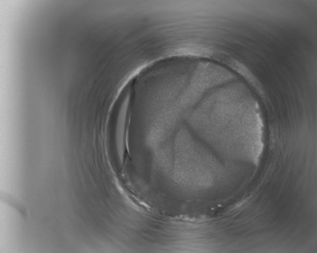 X0000080150580200612302130