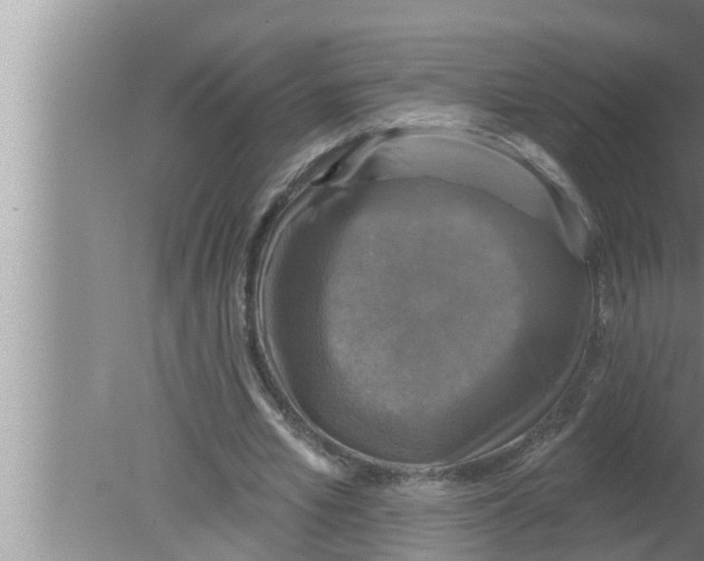 X0000080150581200612302130