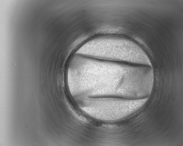 X0000080150582200612302130