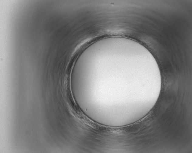 X0000080150583200612302130