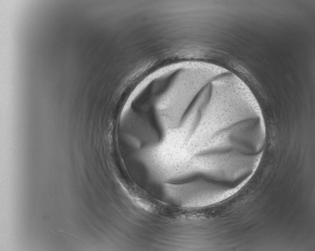 X0000080150586200612302130