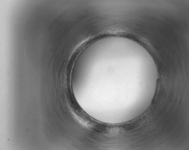 X0000080150587200612302130