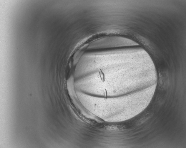 X0000080150588200612302130