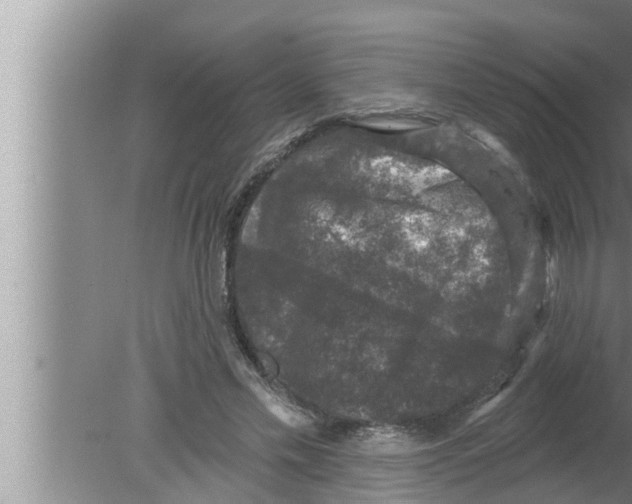 X0000080150589200612302130