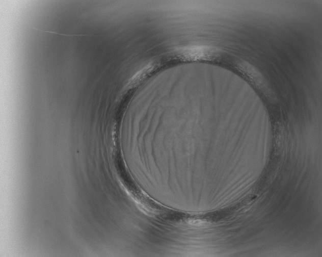 X0000080150590200612302130