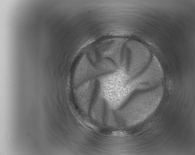 X0000080150591200612302130