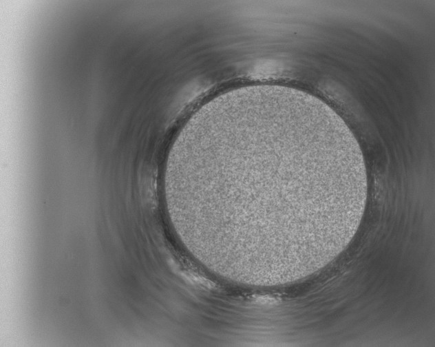 X0000080150592200612302130