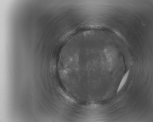 X0000080150593200612302130