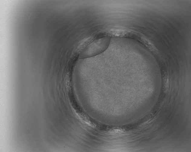 X0000080150594200612302130