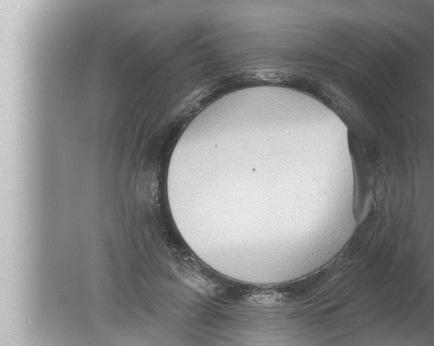 X0000080150595200612302130