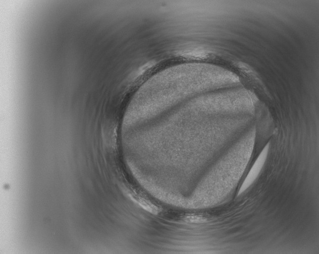 X0000080150596200612302130