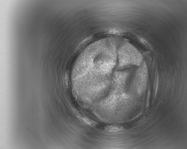 X0000080150597200612302130