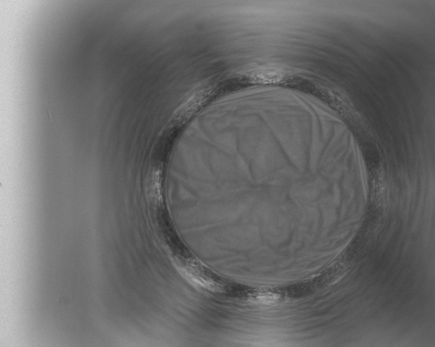 X0000080150598200612302129