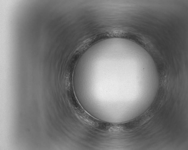 X0000080150599200612302129