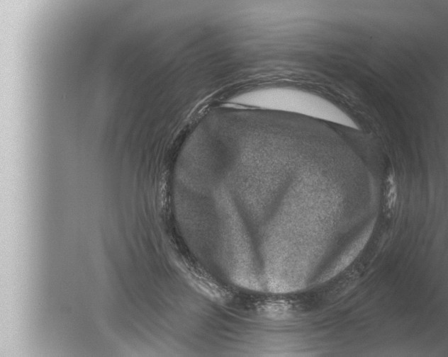 X0000080150600200612302129