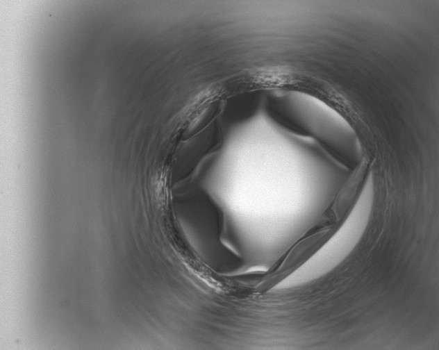 X0000080150601200612302129