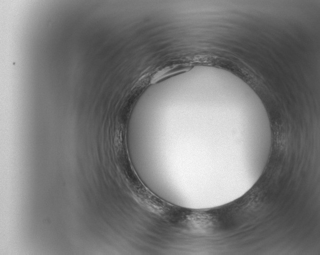 X0000080150603200612302129