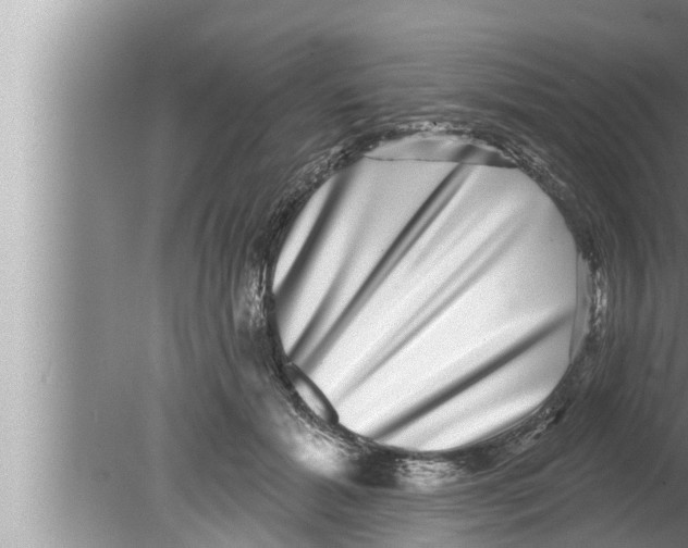 X0000080150605200612302129