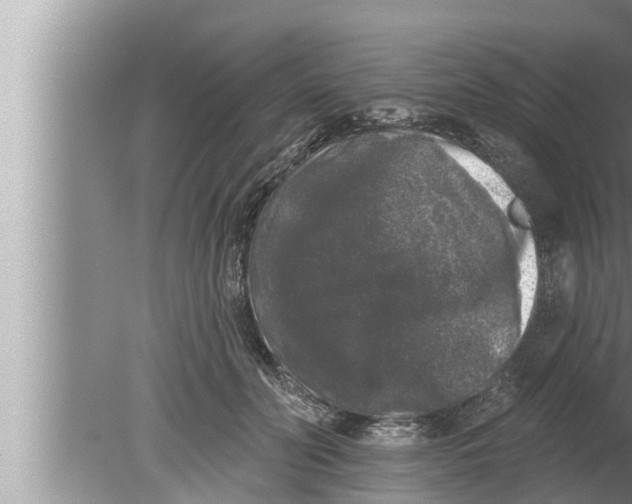 X0000080150606200612302129