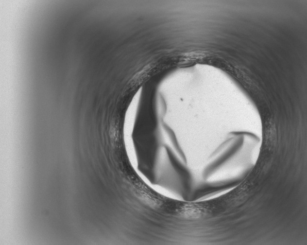 X0000080150608200612302129