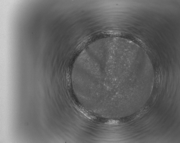 X0000080150609200612302129