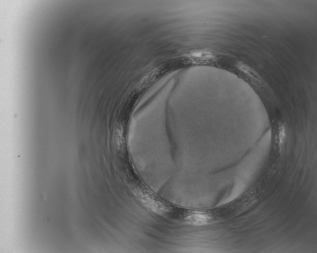 X0000080150610200612302129