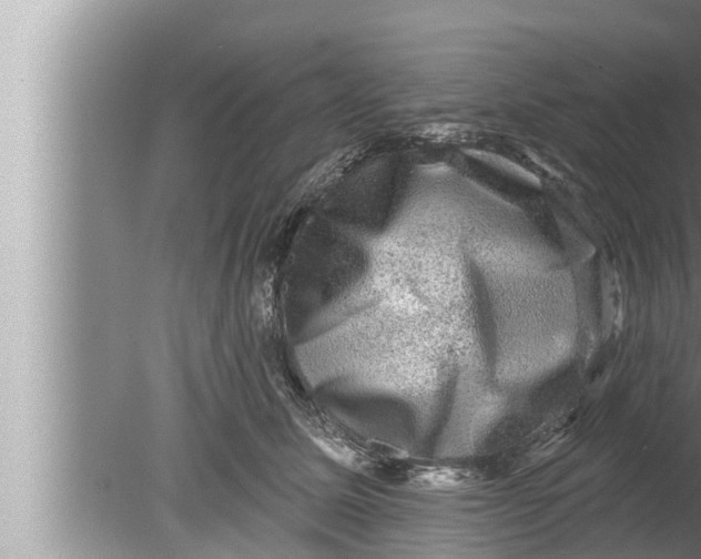 X0000080150611200612302129