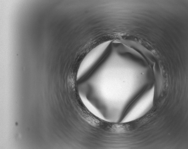 X0000080150613200612302129