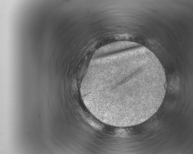 X0000080150616200612302129