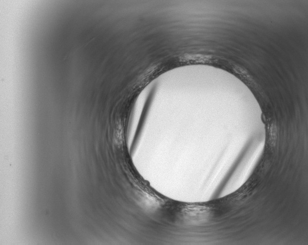 X0000080150617200612302129