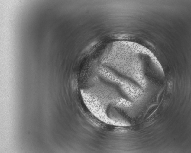 X0000080150620200612302129